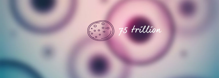 75 trillion cells