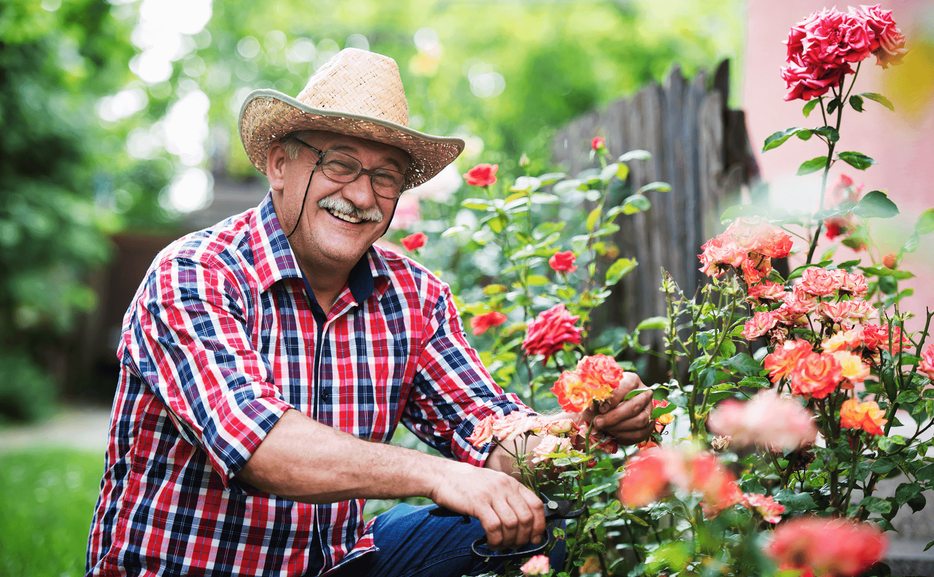 Older man smiling and gardening 