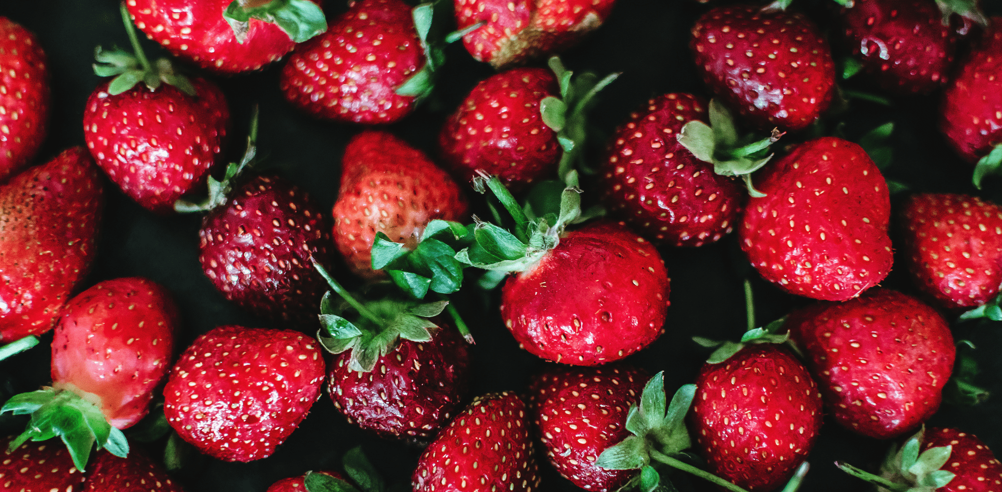 Strawberries in December: A Look at Preservation and Innovation