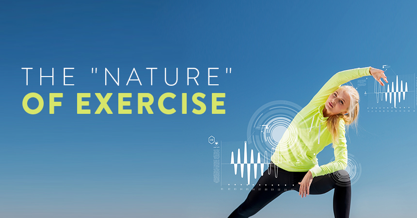 The Science Behind Exercise: What Happens Inside Your Body | Kaneka ...