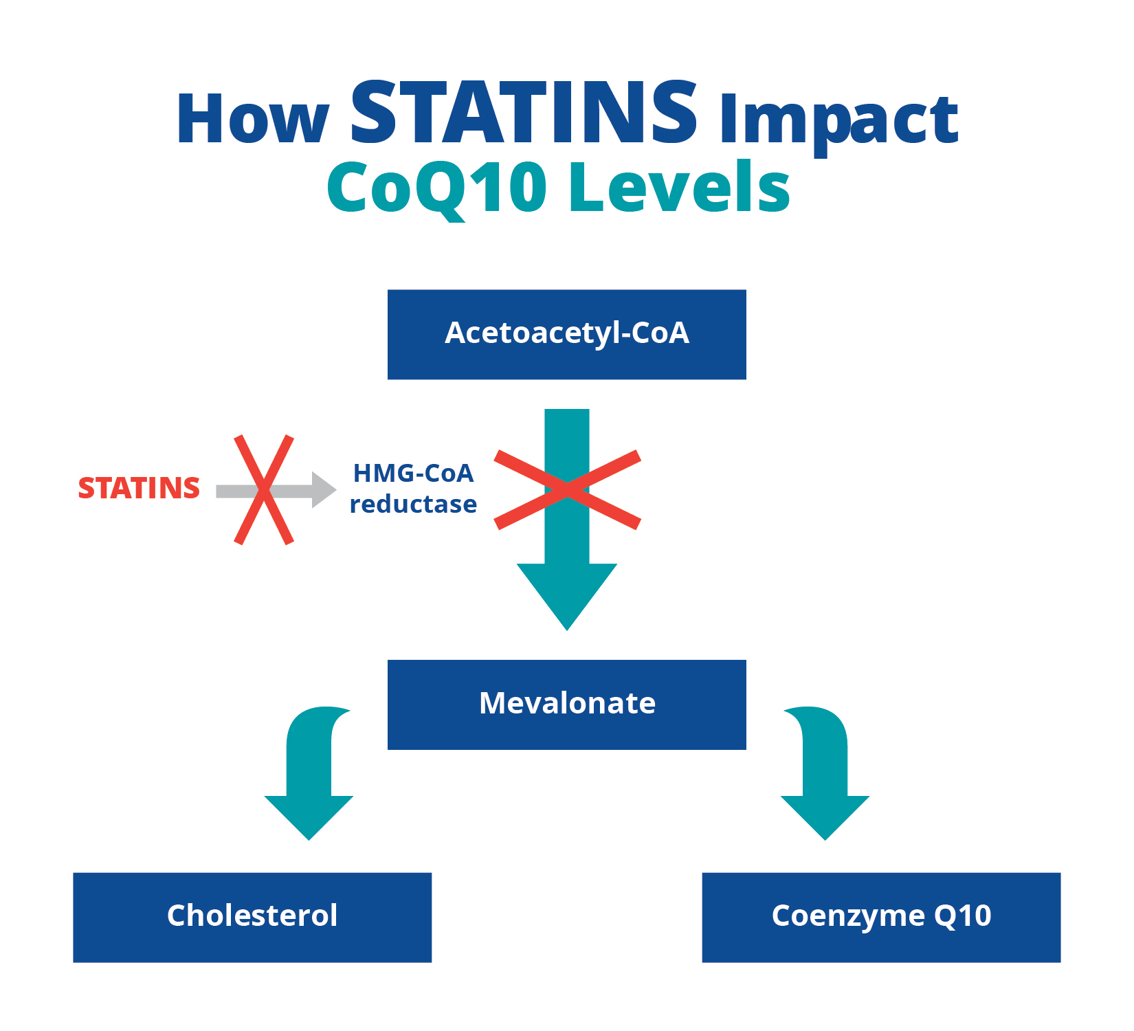 how statins affect your body