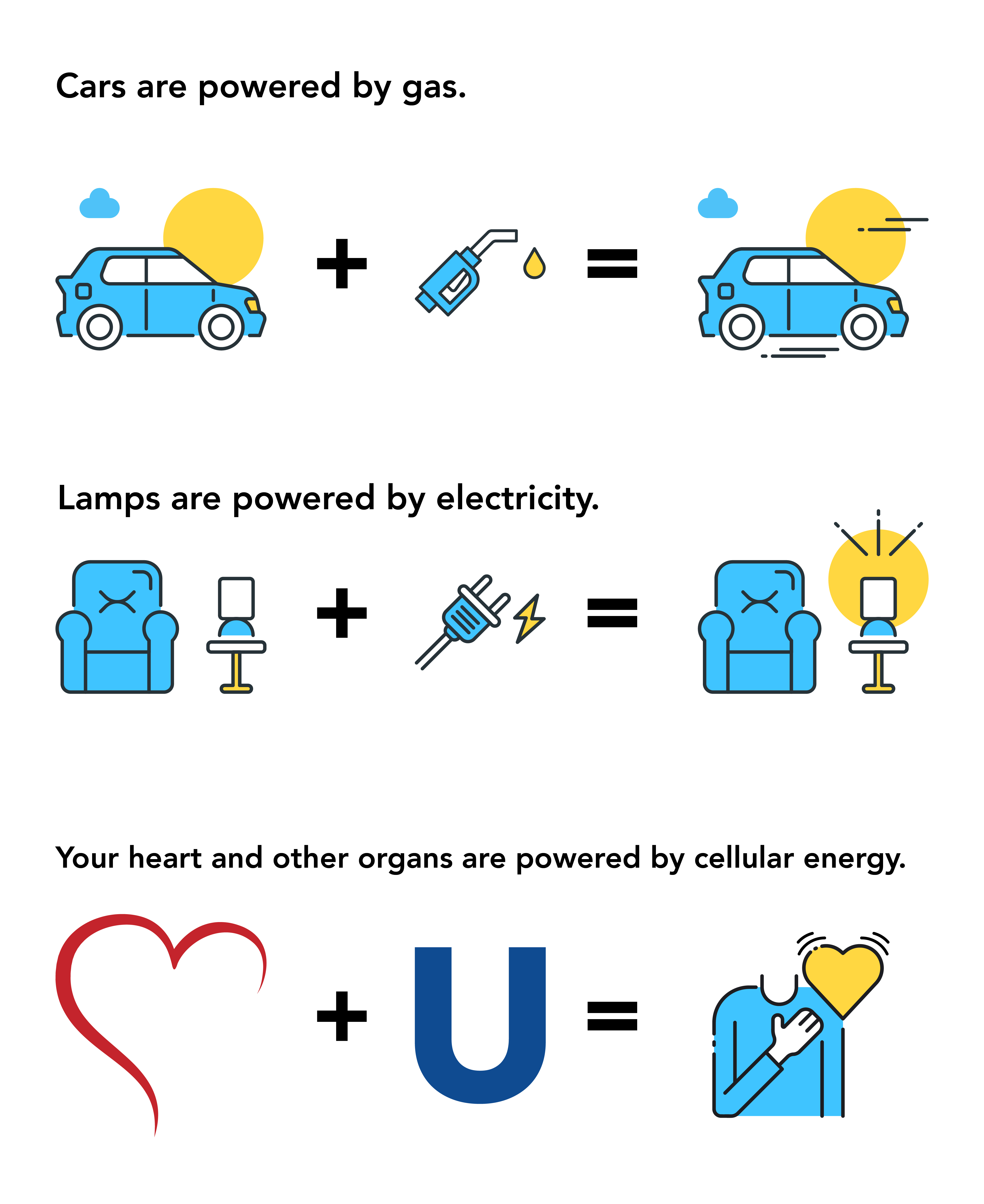 Kaneka Ubiquinol Cellular Energy