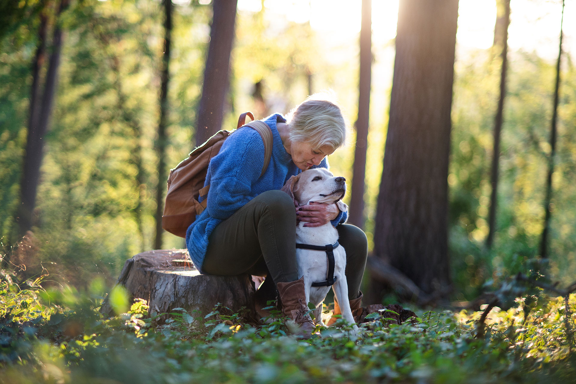 A woman with short grey hair sits on a tree stump mid-hike and kisses her dog on the forehead.