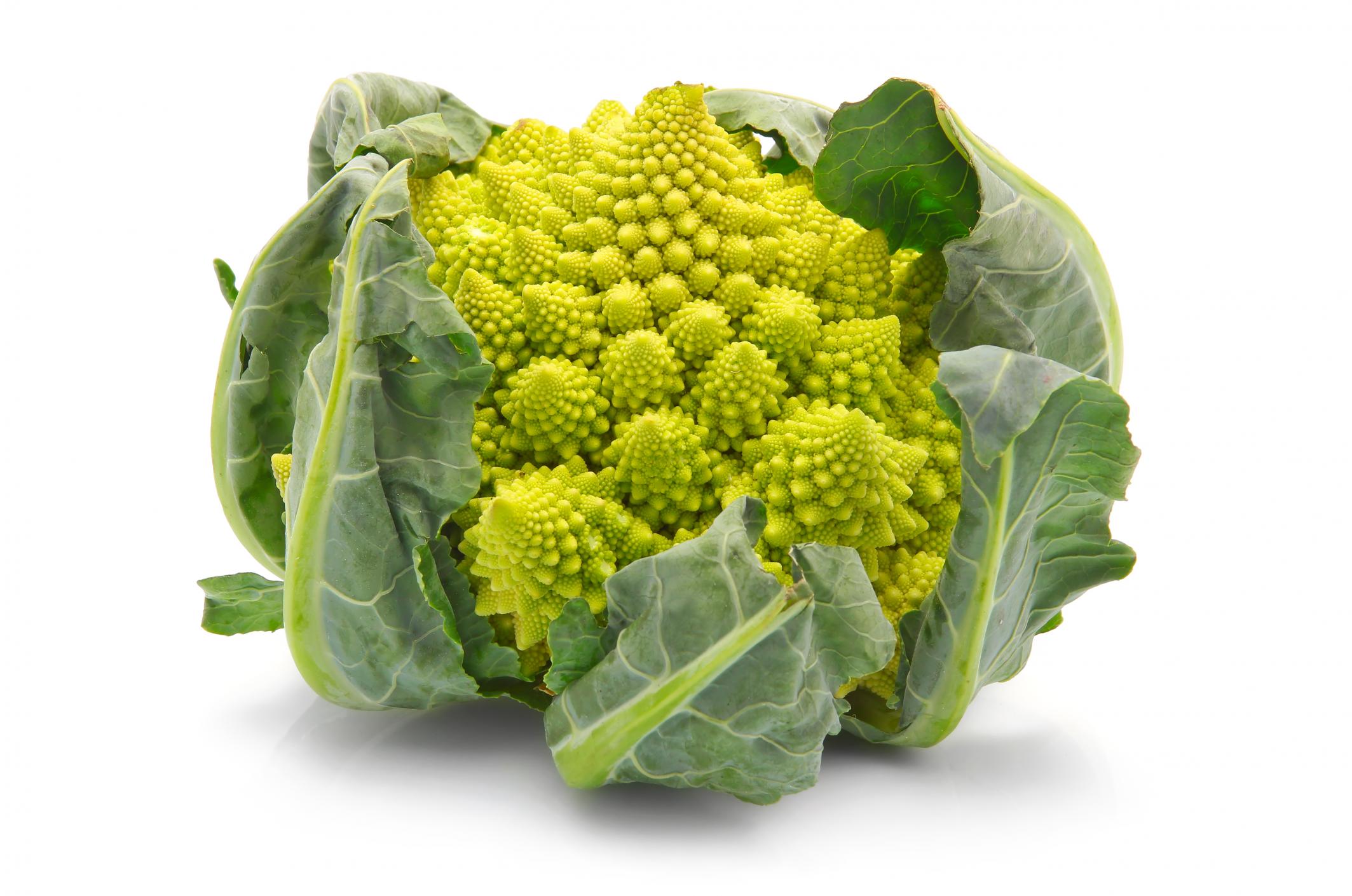 Romanesco Broccoli Cabbage exotic broccoli