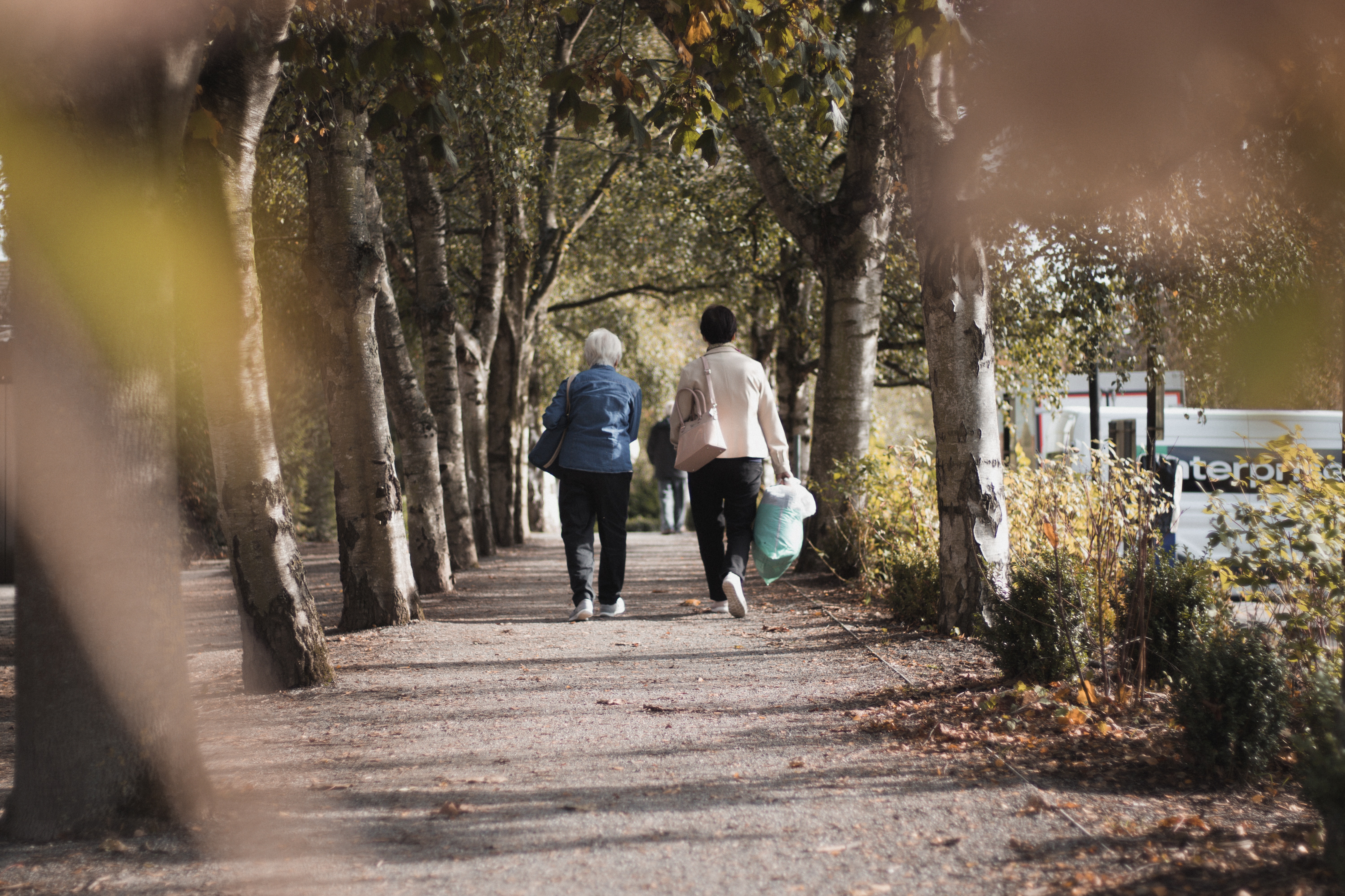 couple walking park in autumn
