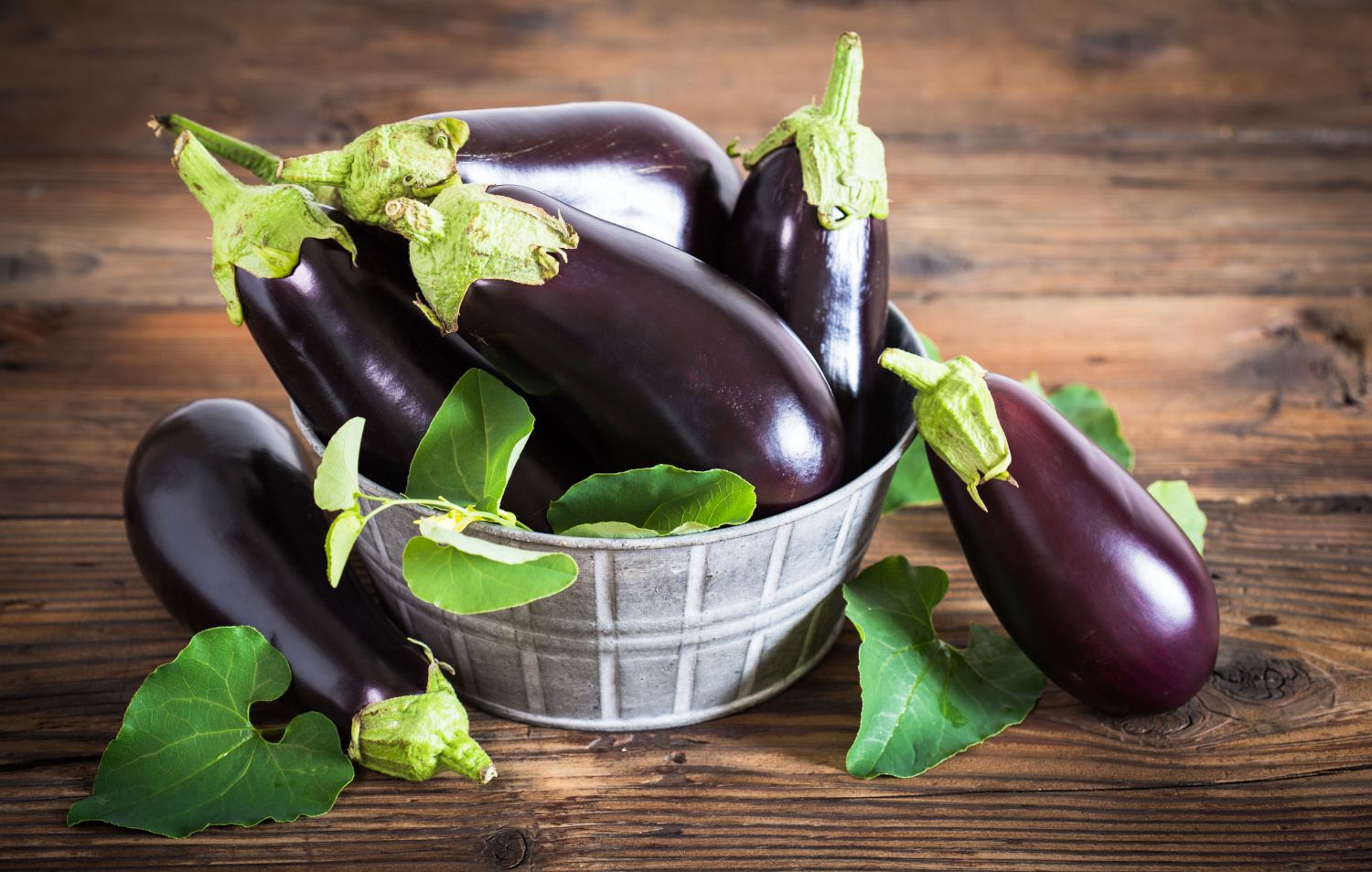 Eggplant - veggie of the month