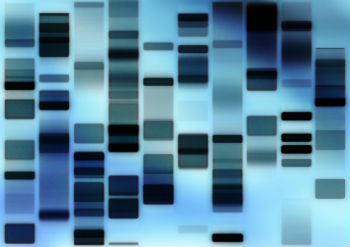 dna sequence