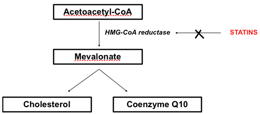 Coenzyme Q and statin therapy