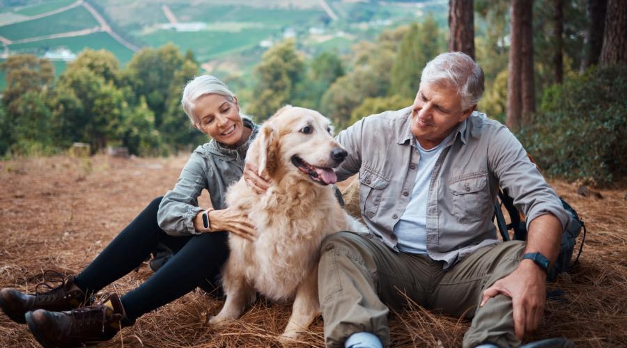 Senior couple on top of mountain, sitting and petting dog 