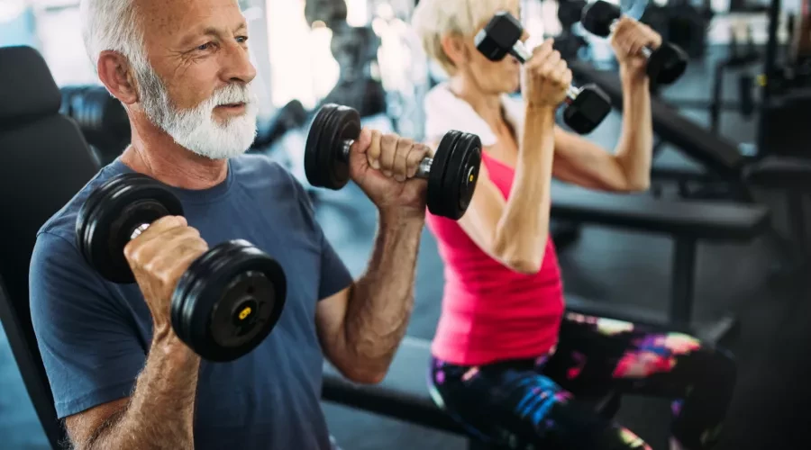 Build Muscle Mass