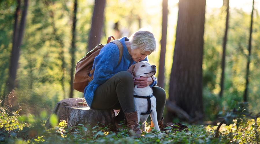 A woman with short grey hair sits on a tree stump mid-hike and kisses her dog on the forehead.