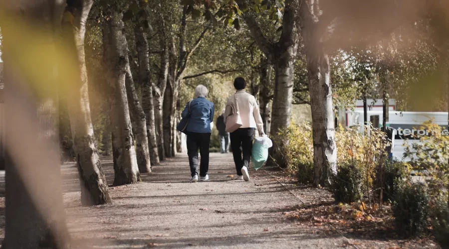 couple walking park in autumn