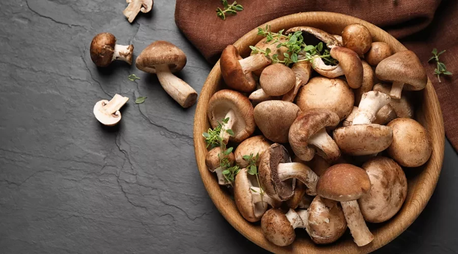 Veggie of the month - Mushrooms