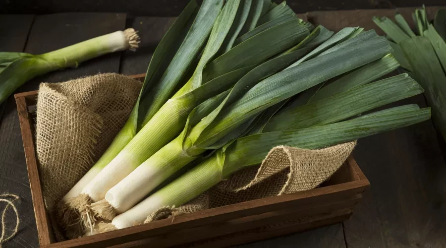 Fresh leeks in a basket