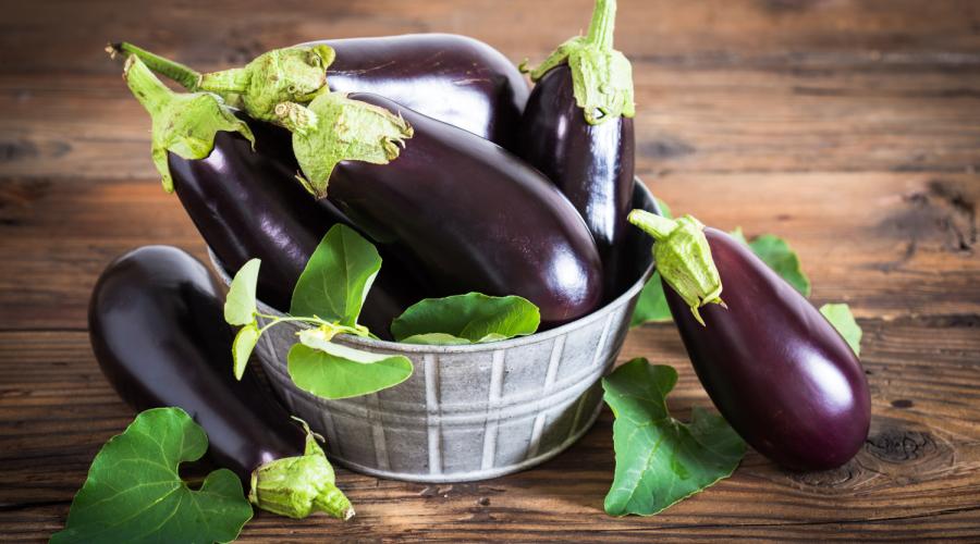 Eggplant - veggie of the month