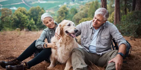 Senior couple on top of mountain, sitting and petting dog 