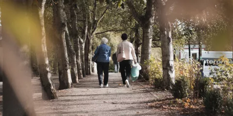 couple walking park in autumn