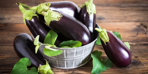 Eggplant - veggie of the month