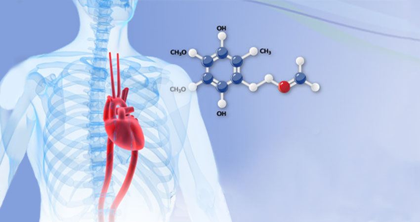 ubiquinol and body systems